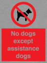 no-dogs-except-assistance-dogs~